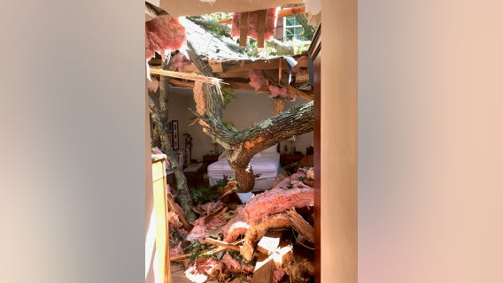 Wind and water devastates homes on Long Island as cleanup begins