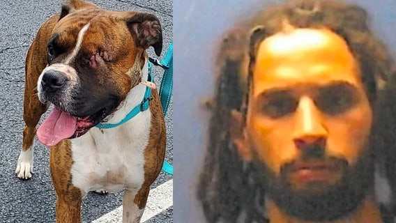 Man claims dog shot herself in the face