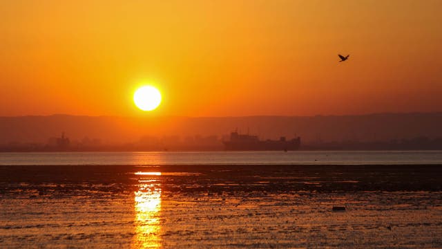 Suez Canal temporarily blocked by vessel run aground