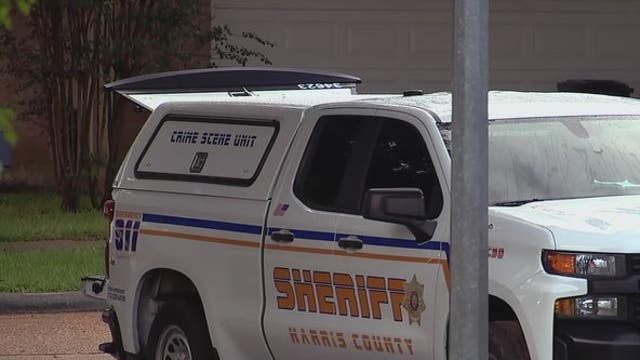 Girl allegedly stabbed to death by twin brother