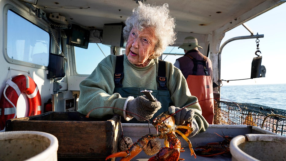 An eldery woman with white hair handles a love lobster on a boat; she wears a sweatshirt, overalls and gloves