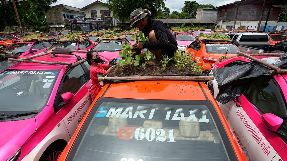 2 workers assemble a miniature garden on the rooftop of an unused taxi