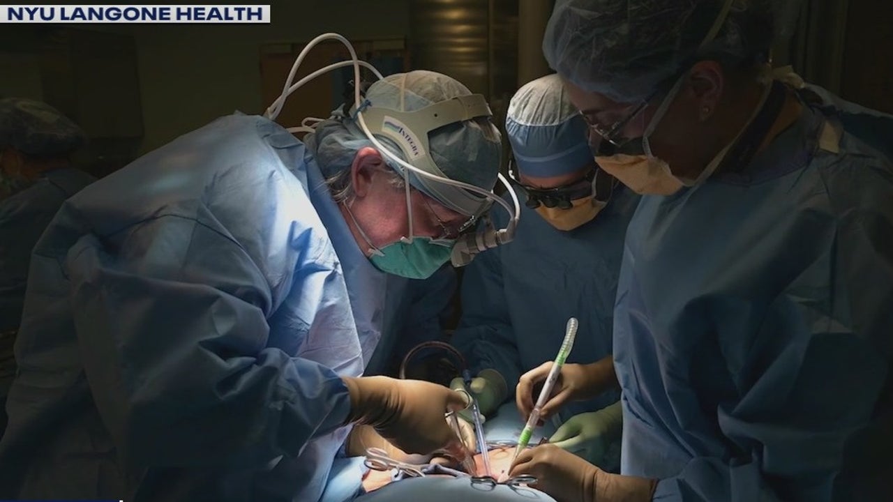 Results of pig liver transplant to human 'profound,' surgeon says FOX
