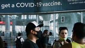 Spike in COVID cases caused by human behavior not vaccine efficacy: Study