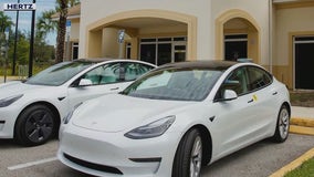 How Tesla–Hertz deal may help make electric cars mainstream