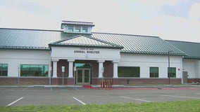 New animal shelter opens in Central Islip