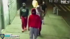 Pack of robbers wanted for series of violent attacks in Queens