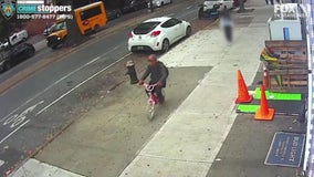 Thief on little pink bike with butterflies robs 10-year-old girl