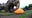 Elephants smash giant pumpkins in Oregon Zoo’s 'Squishing of the Squash'
