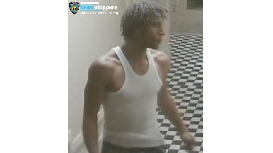 The NYPD wants to find this man who followed a woman into her apartment building in the Concourse section of the Bronx. (NYPD)