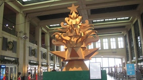Cardboard Christmas tree is talk of Jersey Shore town