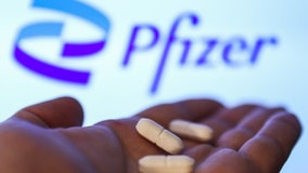 Pfizer asks FDA for emergency approval of COVID-19 pill, Paxlovid