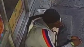 Arrest in sexual assault of girl on way home from school in Bronx park