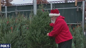 This year's shortage of Christmas trees unrelated to pandemic