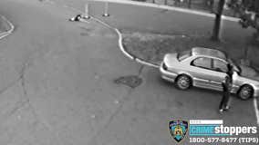 Staten Island shootout caught on video