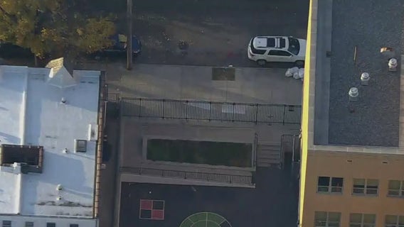 Eight children hospitalized after freak taser incident in Queens