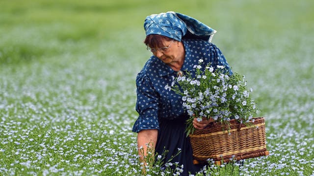 Study: Women who work outside may be less likely to have breast cancer