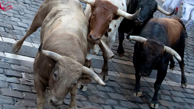 Man dies after being gored during a bull run in Spain