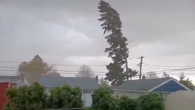 4 Long Island tornadoes confirmed from Saturday storm