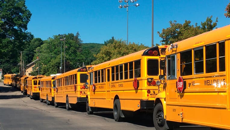 School Buses Lined Up Outside School, Wellsville, New York, USA