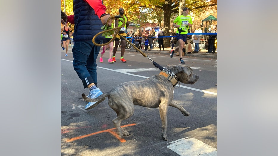 (FOX 5 NY Photo by Arun Kristian Das)