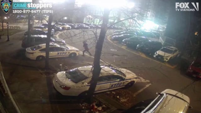 Vandal smashes windows on NYPD patrol cars in the Bronx