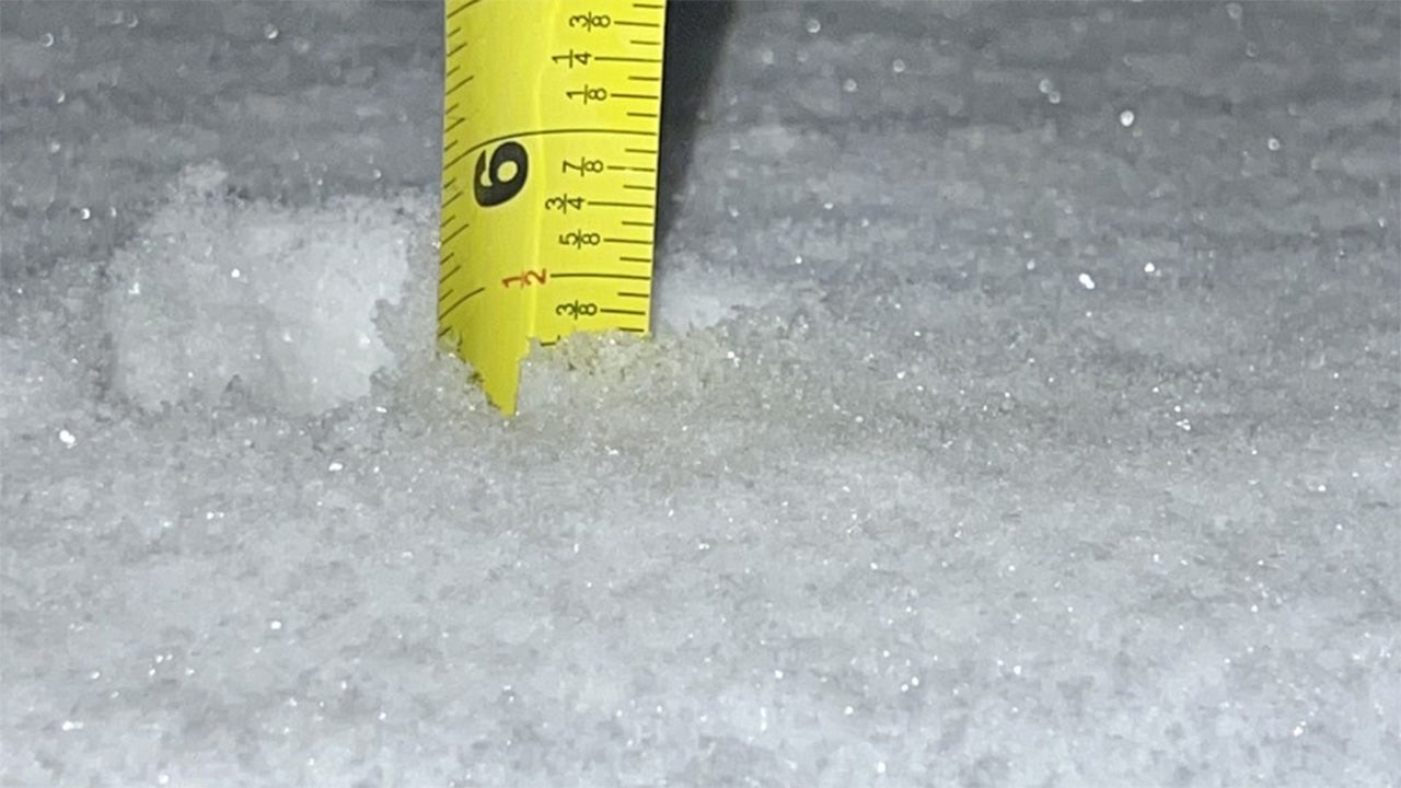 How much snow fell on Sunday? Totals for NYC area