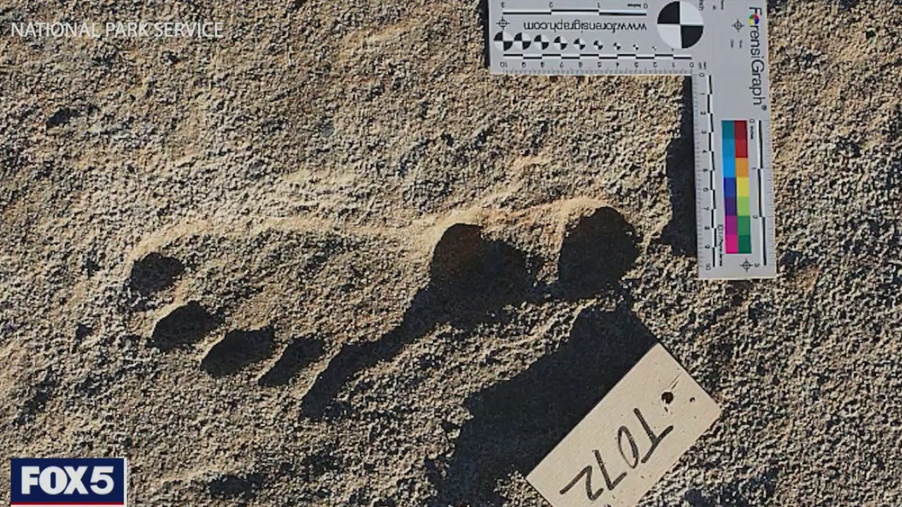 'Ghost tracks' show humans were in North America 23,000 years ago - Vimarsana News
