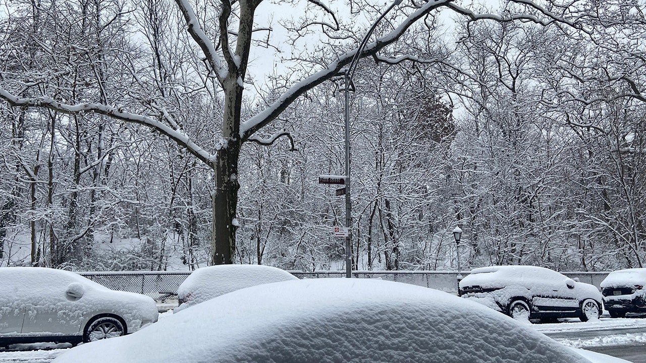 Snowfall totals for New York City New Jersey Connecticut Long