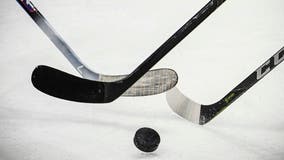 Teddy Balkind, 10th-grade hockey player, dies from cut on neck by skate