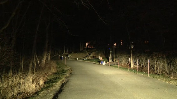 New Jersey bear attack wounds dog, 81-year-old woman