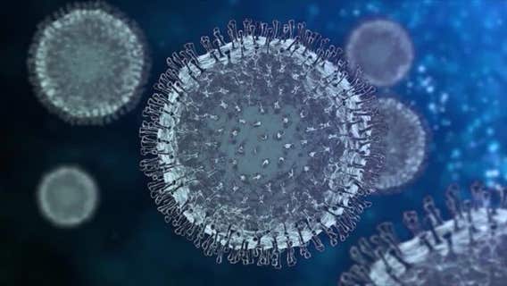 COVID emergency could end this year but virus may remain, WHO says