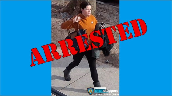 Woman busted for spitting on boy, making anti-Semitic comment, NYPD says