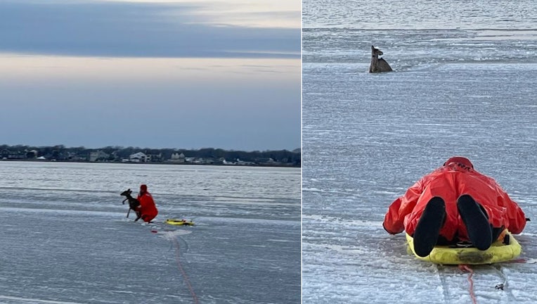 Suffolk County Police marine bureau officers rescued a deer that had fallen through the ice