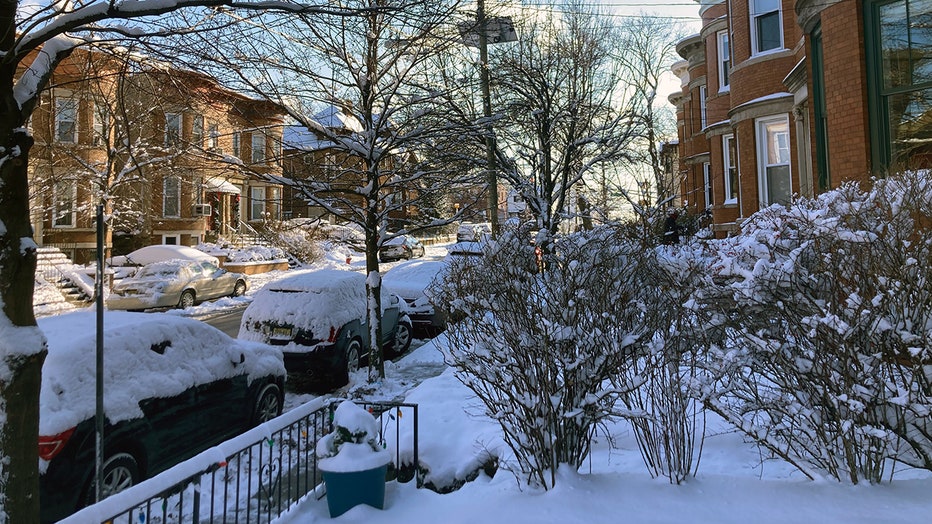 Fresh snow on cars, trees, front yards on a residential street of townhouses