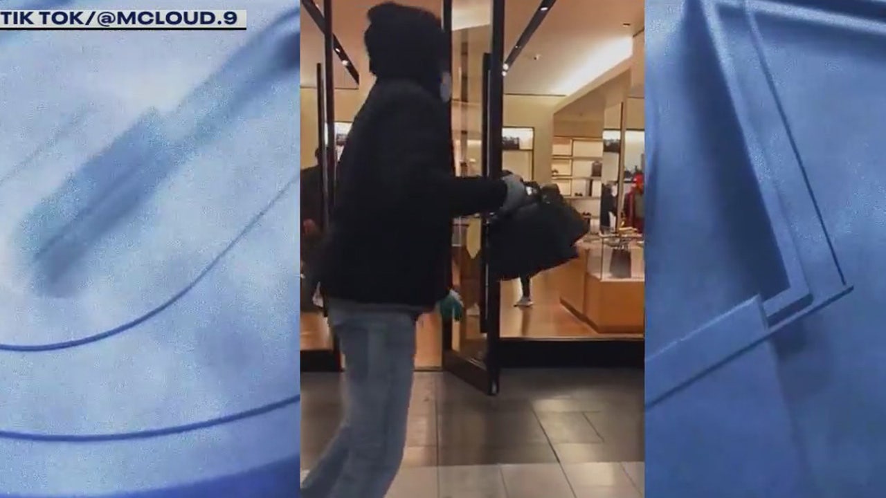 Video: Thieves snatch several Louis Vuitton bags at The Westchester mall