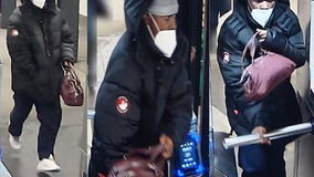 NYC subway mugger attacks woman, steals purse