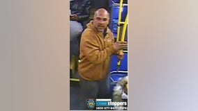 Man attacks bus driver with tree branch: NYPD