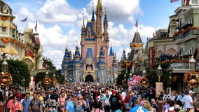 Smithsonian Museum is asking for pictures from Disney vacations