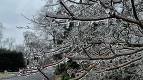 Winter Storm brings ice storm to NY
