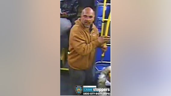 Man attacks bus driver with tree branch: NYPD