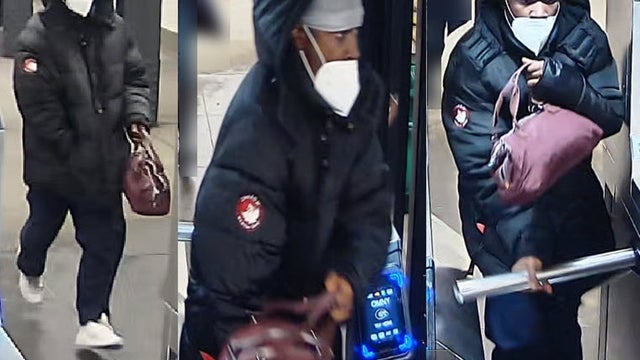 NYC subway mugger attacks woman, steals purse