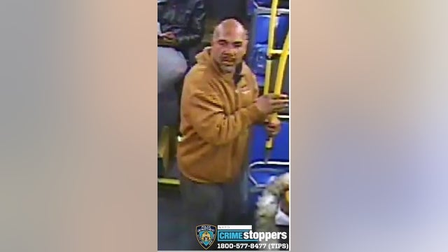 Man attacks bus driver with tree branch: NYPD