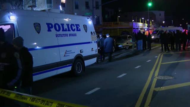 Man shot in head in Cypress Hills as new stats show crime up in most precincts