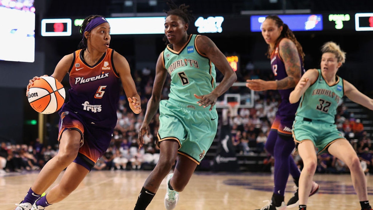 WNBA Players React to Chartering Flights Controversy, NY Liberty Fine