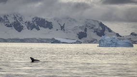 Temperatures in Antarctica reach 70 degrees warmer than normal
