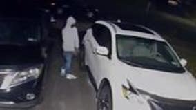 12 cars stolen in 24 hours on Long Island