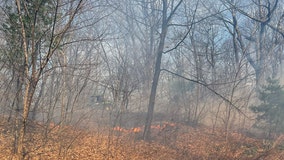 Central Park brush fires appear to be arson