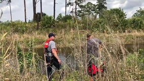 Divers search park after remains found in gator's mouth