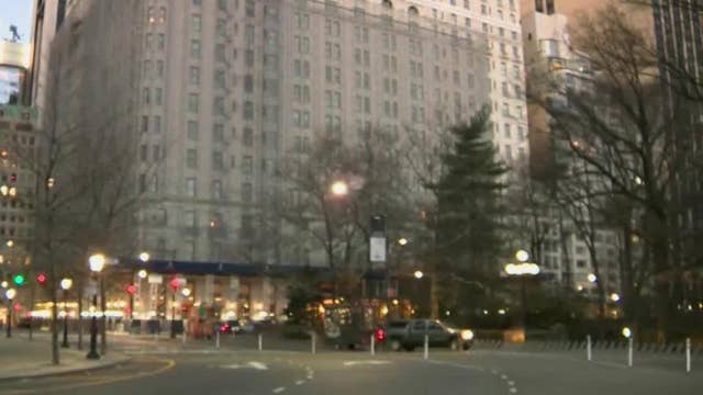 9-year-old tourist attacked outside Central Park